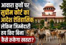 आवारा कुत्तों पर सुप्रीम कोर्ट का आदेश ऐतिहासिक – लेकिन जिम्मेदारी तय किए बिना कैसे रुकेगा खतरा?
